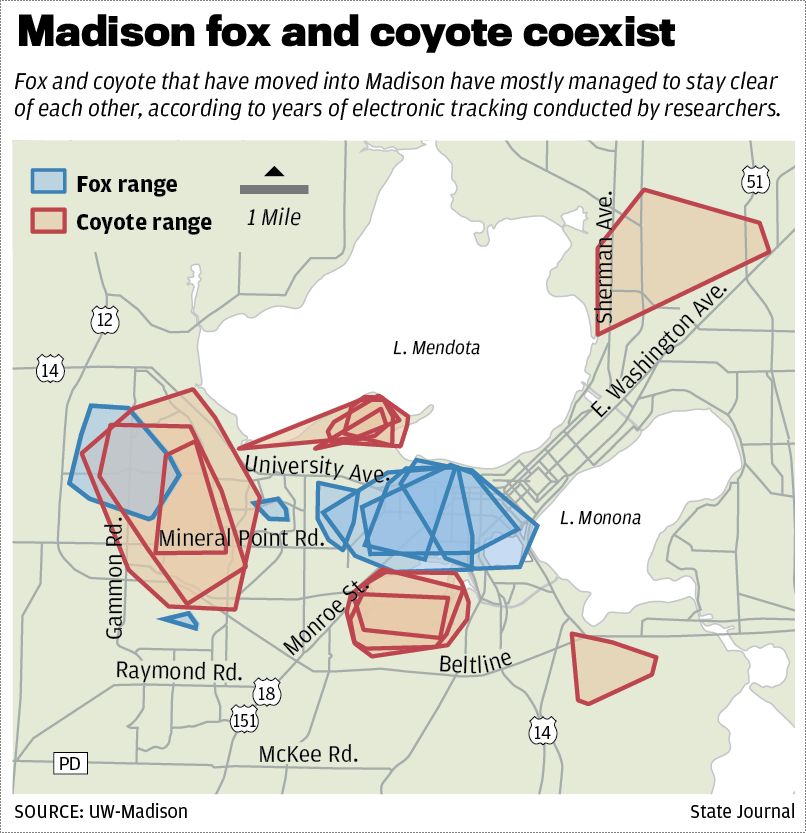 Fox and coyote map